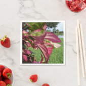 Serviette En Papier Plante Hibiscus "Fire and Ice" (En situation)