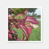 Serviette En Papier Plante Hibiscus "Fire and Ice" (Devant)
