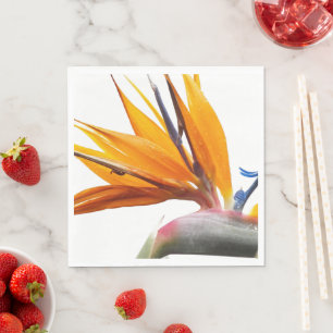 Serviette En Papier Plante oiseau de paradis orange sur fond floral bl
