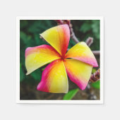 Serviette En Papier Plumeria rubra (Devant)
