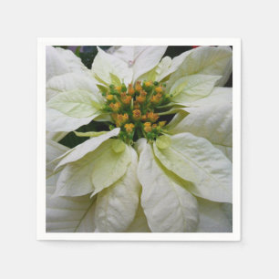 Serviette En Papier Poinsettia Elegant Christmas Holiday Floral