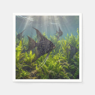 Serviette En Papier Poisson-ange Black Lace dans les algues