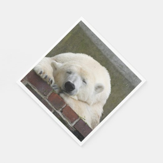 Serviette En Papier Polar_Bear_2015_0301 (Coin)