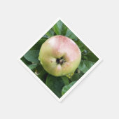 SERVIETTE EN PAPIER POMME (Coin)