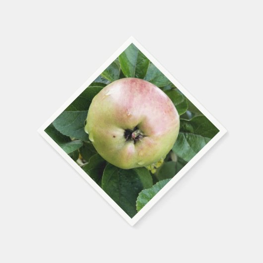 SERVIETTE EN PAPIER POMME (Coin)