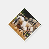 SERVIETTE EN PAPIER PONIES (Coin)