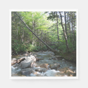 Serviette En Papier Pont de la rivière Pemigewasset dans le New Hampsh