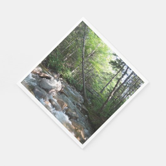 Serviette En Papier Pont de la rivière Pemigewasset dans le New Hampsh (Coin)