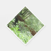 Serviette En Papier Pont Muir Woods I (Coin)