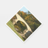 Serviette En Papier Pont Rainbow à l'automne au Grove City College (Coin)