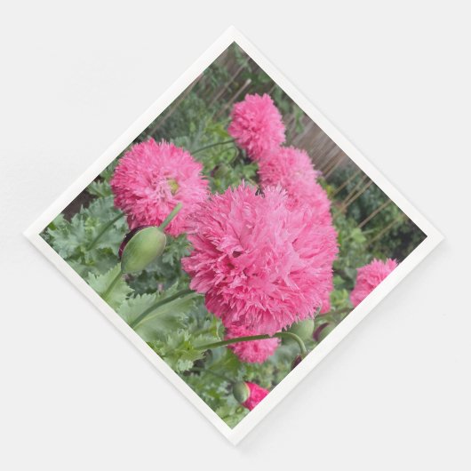 Serviette En Papier Poppies Pom Pom Rose (Coin)