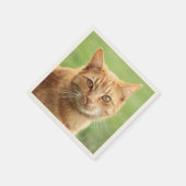 Serviette En Papier Portrait de chat orange mignon (Coin)