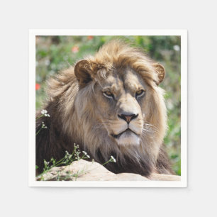 Serviette En Papier Portrait de lion vu de devant