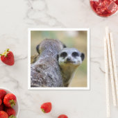 Serviette En Papier Portrait de suricates ou de suricates (En situation)