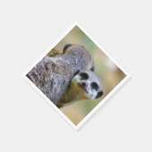 Serviette En Papier Portrait de suricates ou de suricates (Coin)
