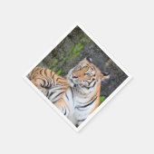 Serviette En Papier Portrait dramatique d'un tigre au repos (Coin)