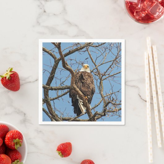 Serviette En Papier Portrait d'un aigle à tête blanche (En situation)