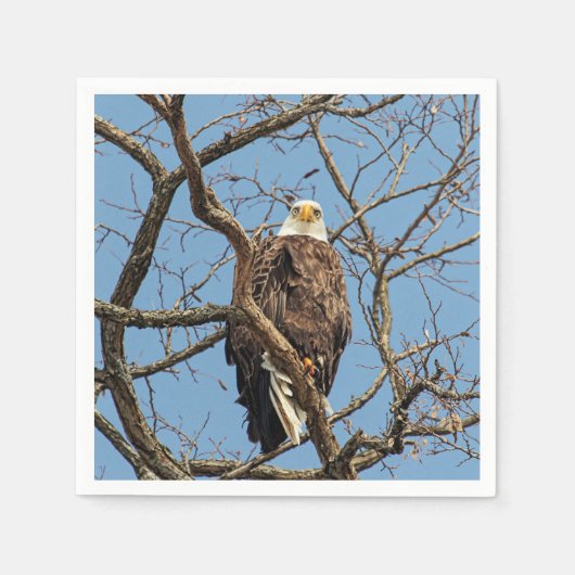 Serviette En Papier Portrait d'un aigle à tête blanche (Devant)
