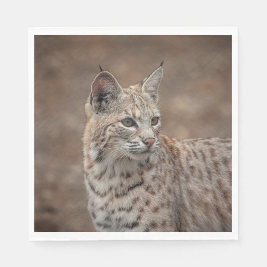 Serviette En Papier Portrait d'un Bobcat (Devant)