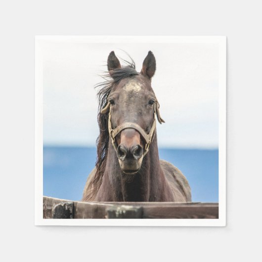 Serviette En Papier Portrait d'un cheval (Devant)