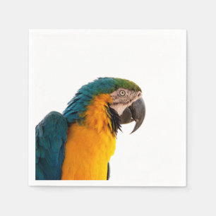 Serviette En Papier Post-it Notes perroquet