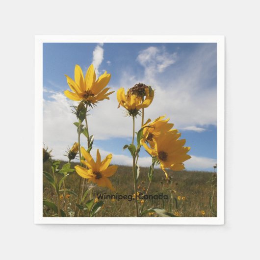 Serviette en papier Prairie Sunset carré (Devant)