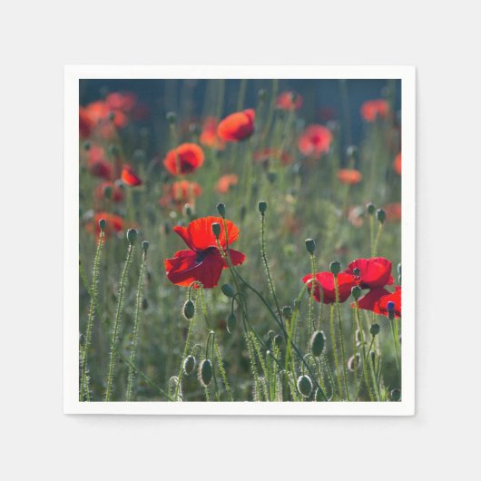 Serviette En Papier Pretty Poppies in Wild Meadow Photo (Devant)