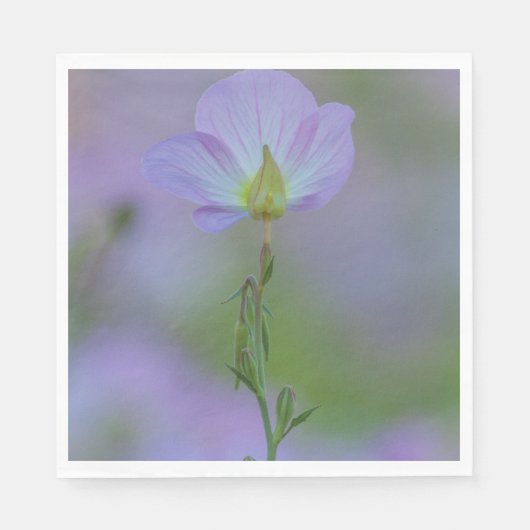 Serviette En Papier Primrose pourpre (Devant)