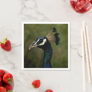 Serviette En Papier Profil de Peacock