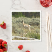 Serviette En Papier Pronghorn au Parc national de Grand Teton (En situation)
