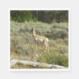 Serviette En Papier Pronghorn au Parc national de Grand Teton