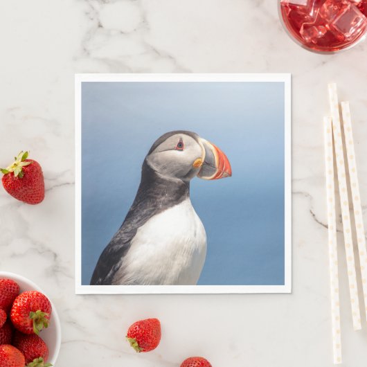 Serviette En Papier Puffin Atlantique en Machias, Maine (En situation)