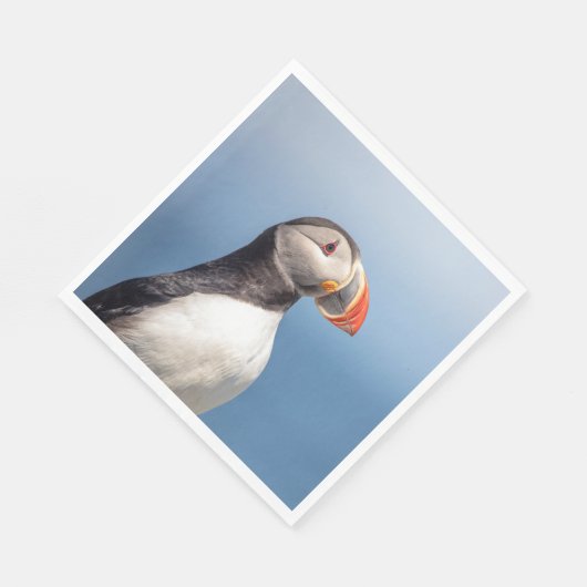 Serviette En Papier Puffin Atlantique en Machias, Maine (Coin)