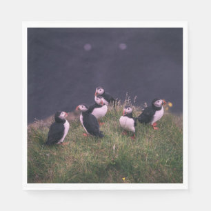 Serviette En Papier Puffins de l'Atlantique