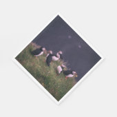 Serviette En Papier Puffins de l'Atlantique (Coin)