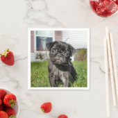 Serviette En Papier Pug B;ack chiot (En situation)