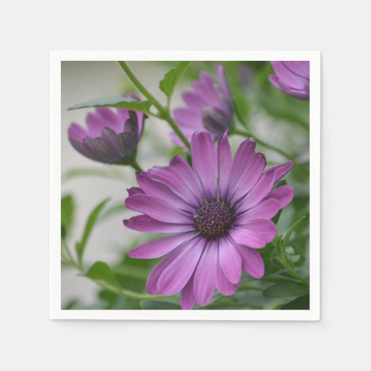 Serviette En Papier Purple Daisy (Devant)