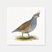 Serviette En Papier Quail à échelle (Devant)