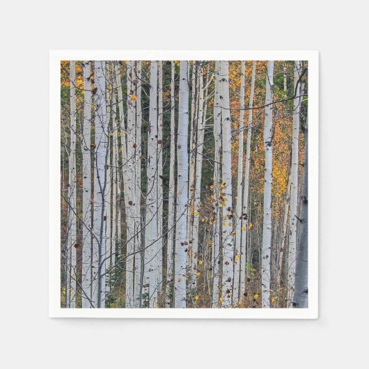 Serviette En Papier Quaking Aspen en automne (Devant)