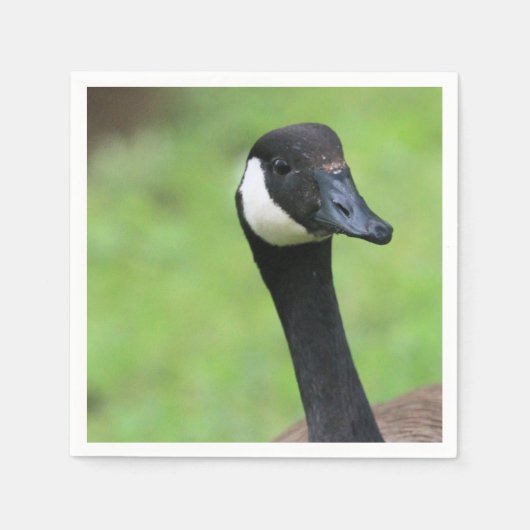 Serviette En Papier Quoi ? (Devant)