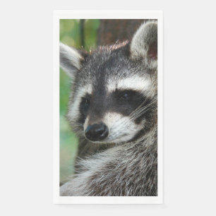 Serviette En Papier Raccoon 001