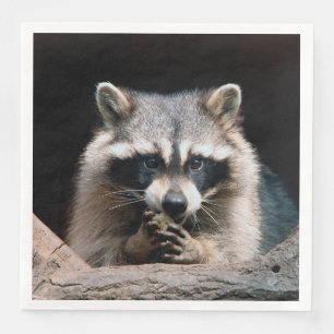 Serviette En Papier Raccoon 004