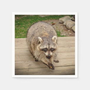 Serviette En Papier Raccoon avec puce