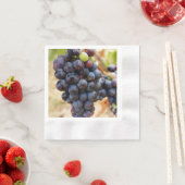 Serviette En Papier Raisins Sur Une Vigne (En situation)