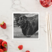 Serviette En Papier Récupérateur noir du Labrador dans l'eau (En situation)