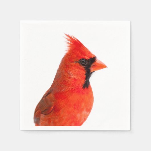 Serviette En Papier Red Cardinal Bird (Devant)