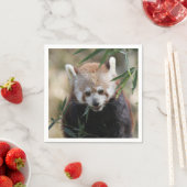 Serviette En Papier Red_Panda_2015_0311 (En situation)
