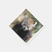 Serviette En Papier Red_Panda_2015_0311 (Coin)