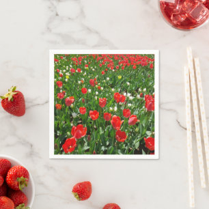 Serviette En Papier Red Tulip Flower Field Nature Photographie