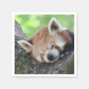 Serviette En Papier RedPanda20150705